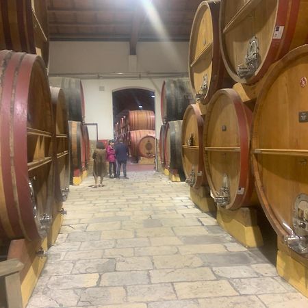 La Mimosa Case Vacanze Marsala Bagian luar foto