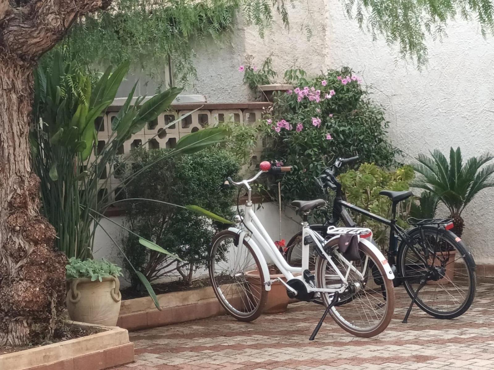 La Mimosa Case Vacanze Marsala Bagian luar foto