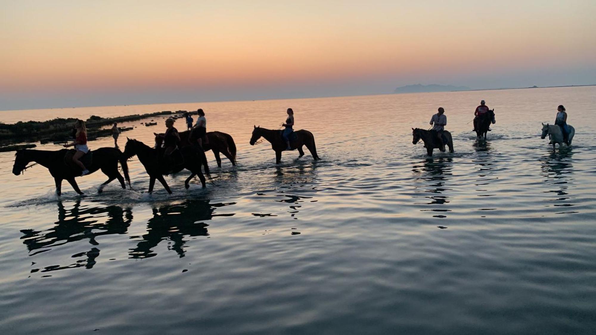 La Mimosa Case Vacanze Marsala Bagian luar foto