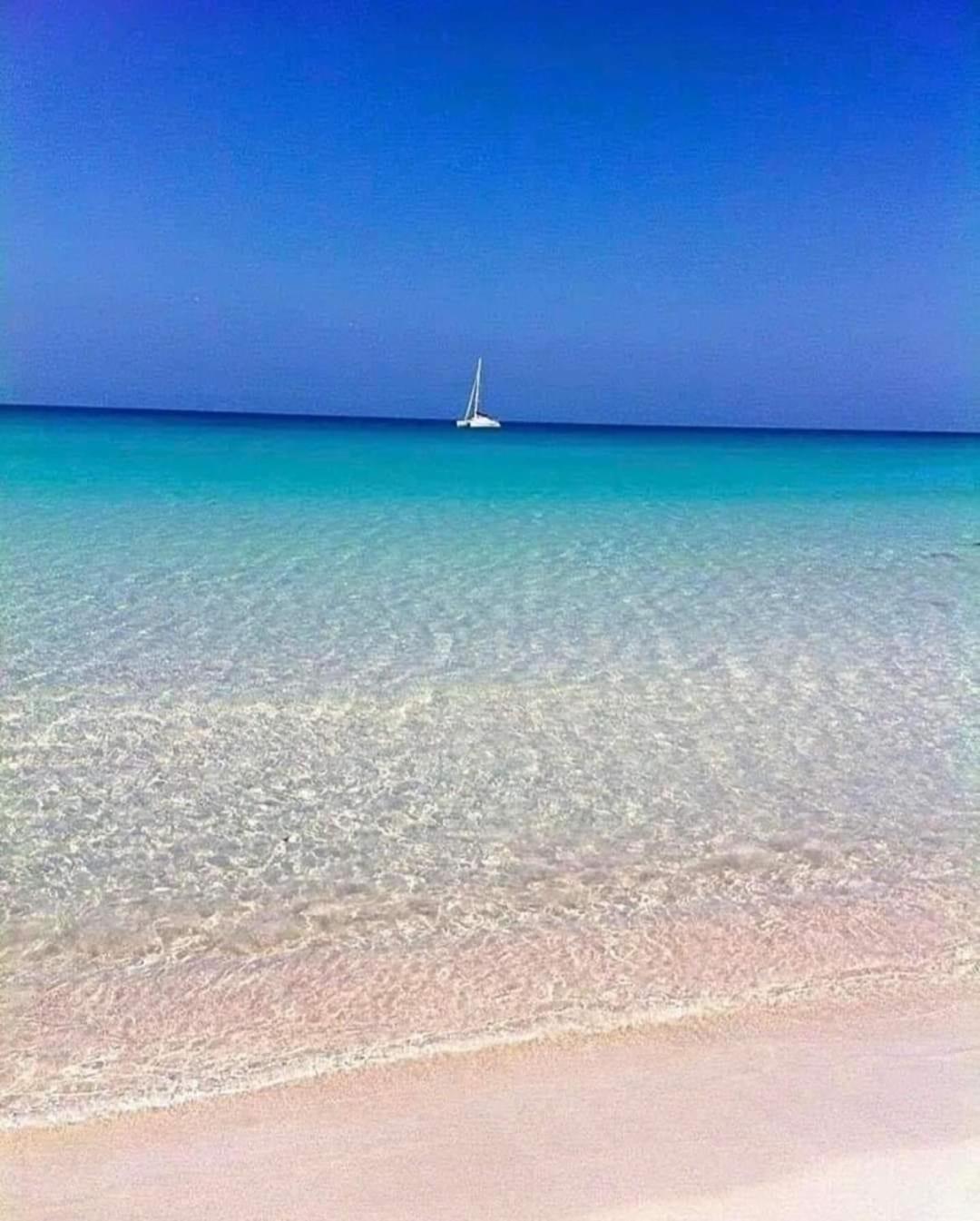 La Mimosa Case Vacanze Marsala Bagian luar foto