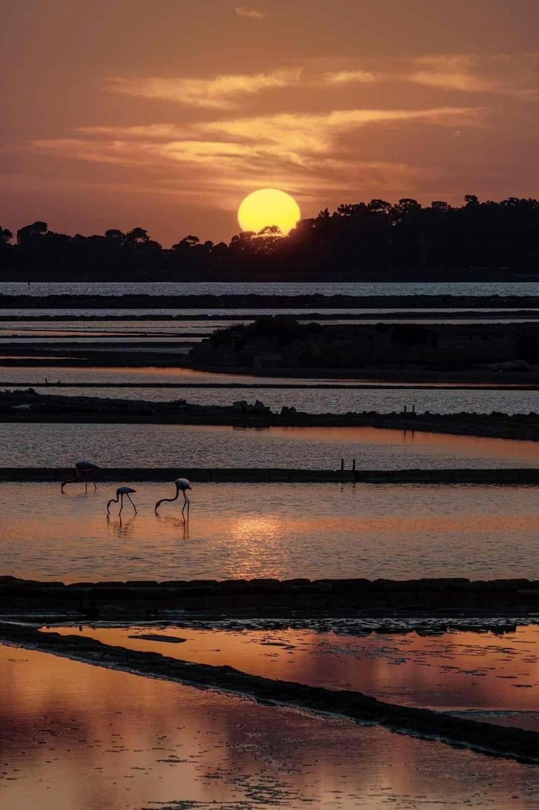 La Mimosa Case Vacanze Marsala Bagian luar foto