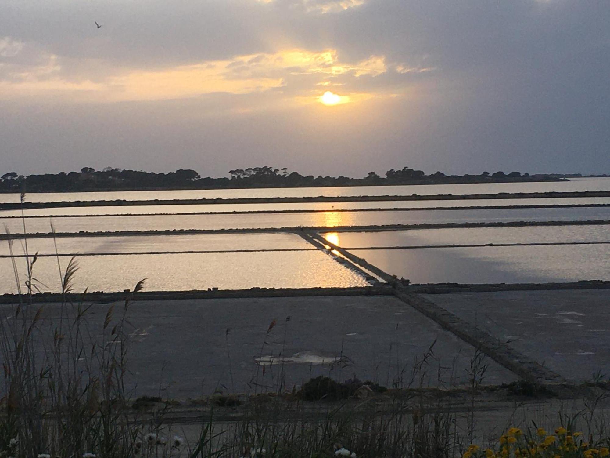 La Mimosa Case Vacanze Marsala Bagian luar foto