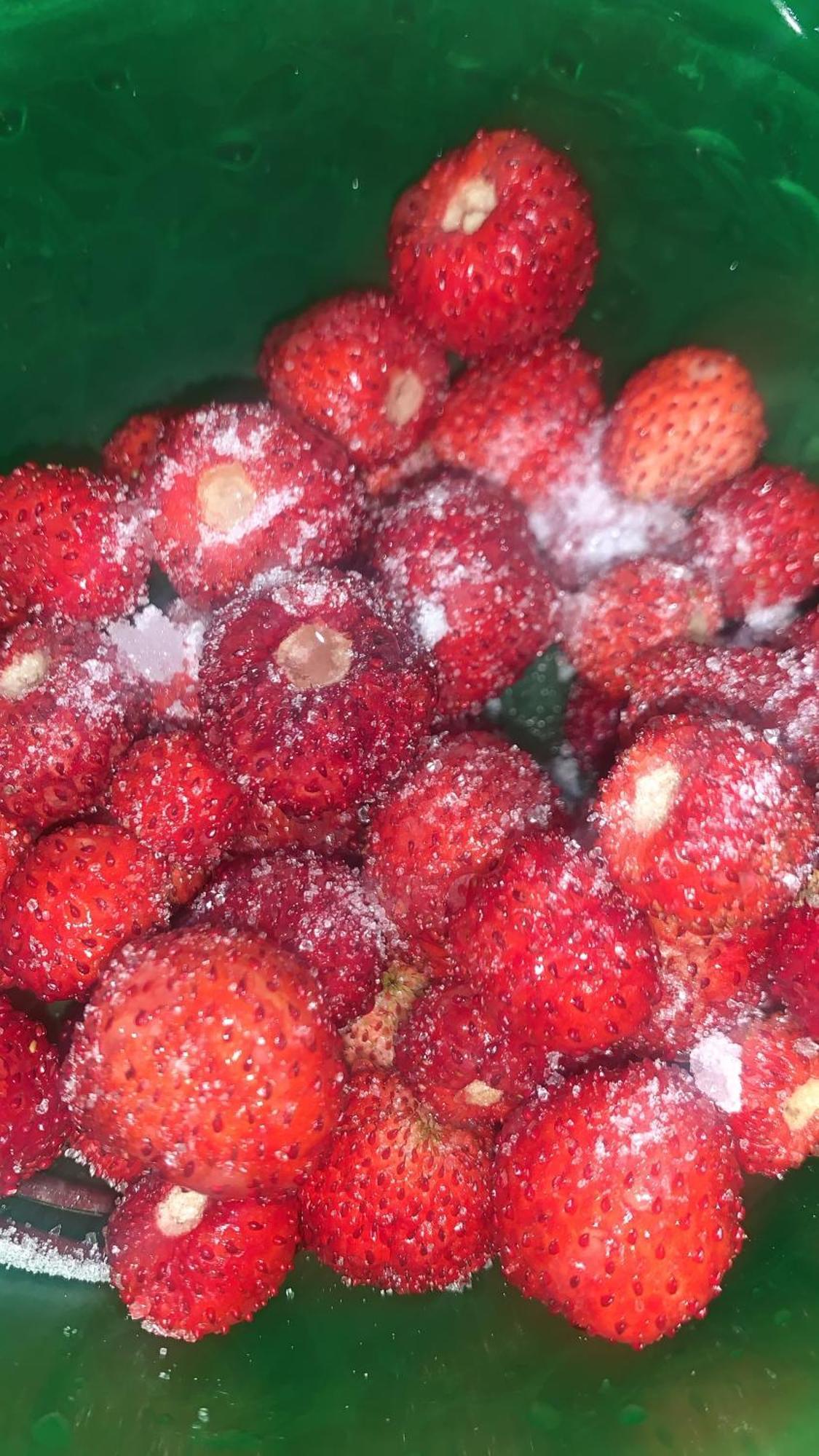 La Mimosa Case Vacanze Marsala Bagian luar foto